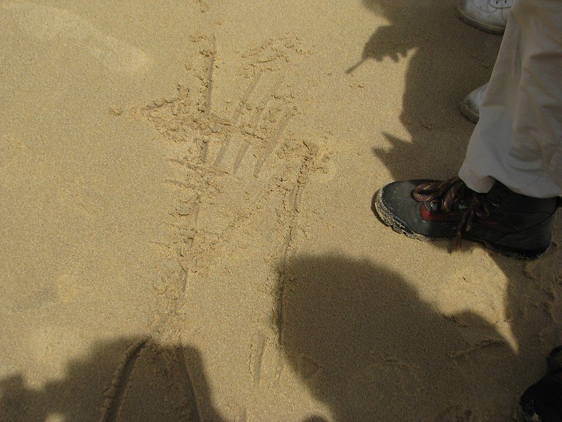 dessin sur le sable : le coin d'eau salée s'enfonçant vers la nappe phréatique