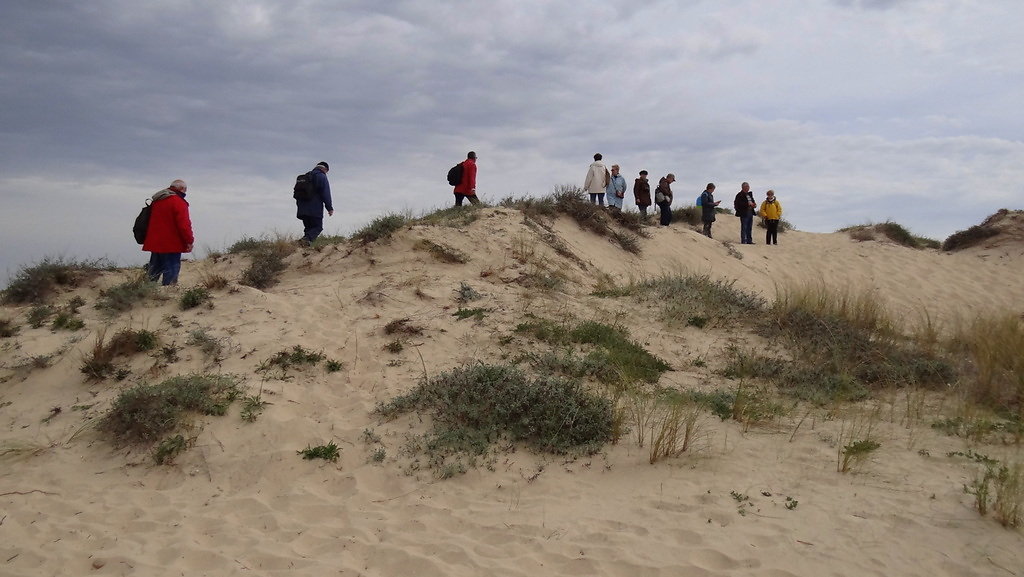 On gravit la dune au sommet de laquelle  est installé l'observatoire de la LPO