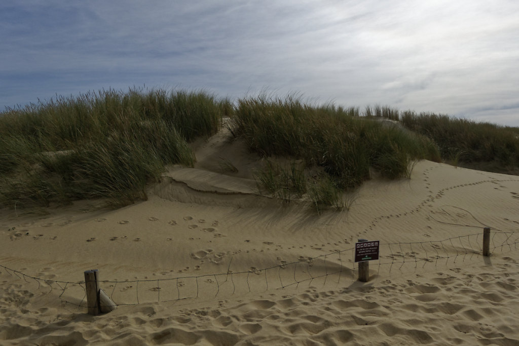 La dune est fragile