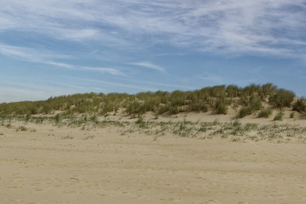 Haut de plage et dune mobile