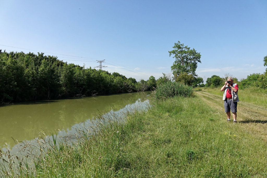 Le canal Charente-Seudre